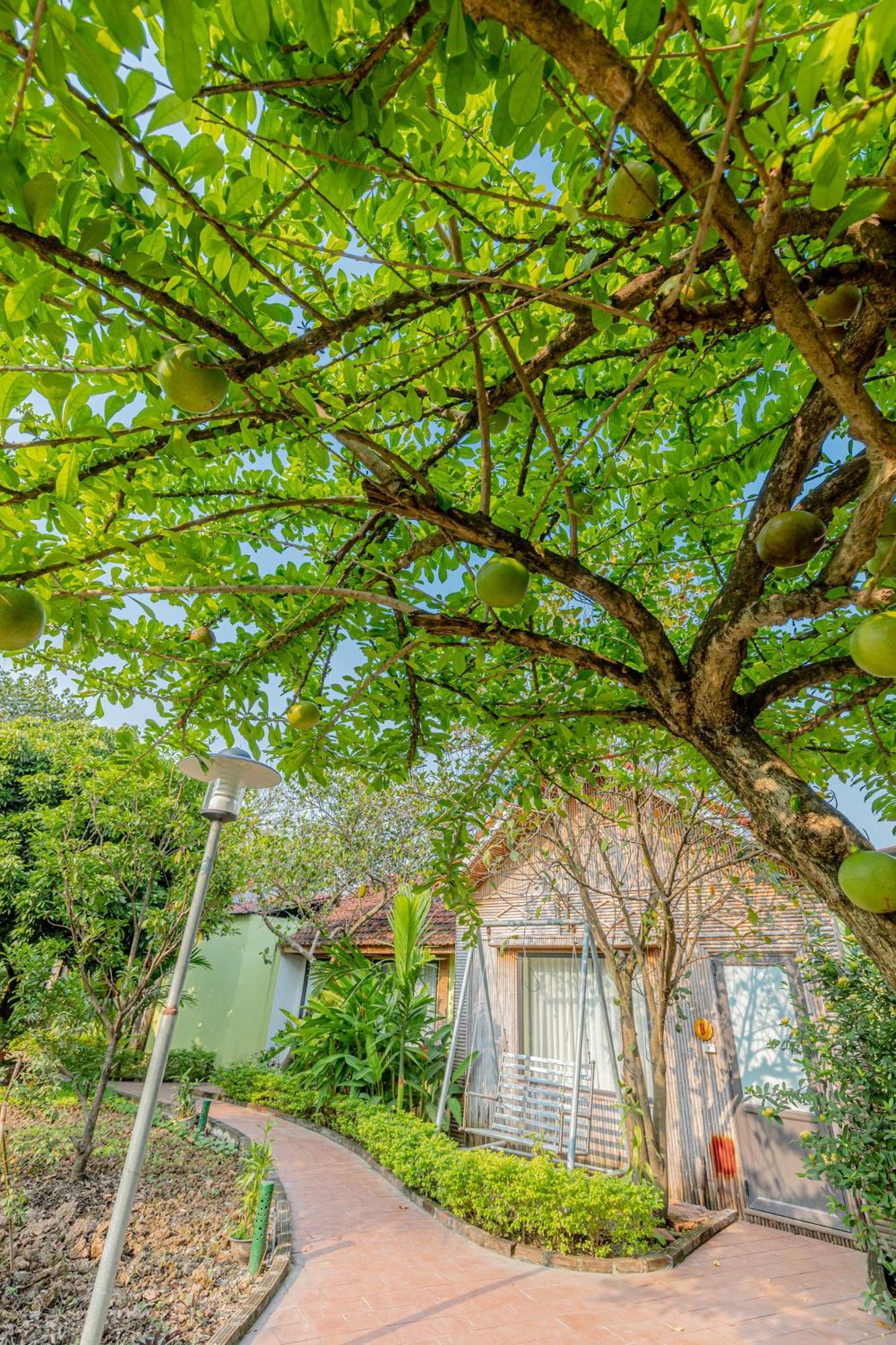 Tam Coc Green Garden Bungalow Ninh Binh Exterior photo